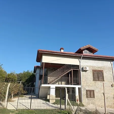 Harika Mustakil מנבגט