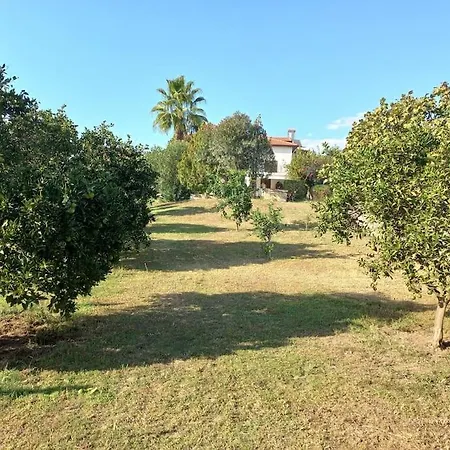 וילה Harika Mustakil